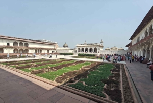 Delhi: Privat tur ved solopgang til Taj Mahal og elefantreservat