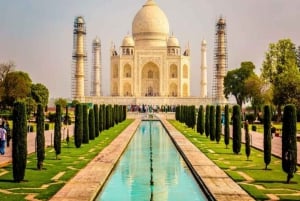 Delhi: Viagem particular de 1 dia ao Taj Mahal e Agra com traslados.