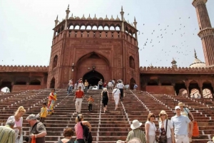 Deli: Tour particular da Velha e Nova Deli com serviço de busca no hotel