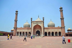 Delhi: Tour privado de la Vieja y la Nueva Delhi con entradas opcionales