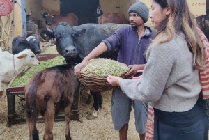 デリー：プライベート・ヤムナー・リバーガート、レスリングとウルドゥー書道