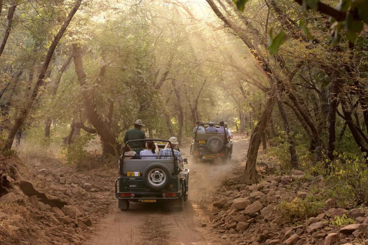 デリー：ランタンボール国立公園3日間サファリツアーをご案内いたします。
