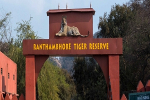 Delhi: Ranthambore National Park 3-Tages-Trip mit Tiger Safari