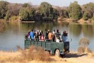 Delhi: Ranthambore National Park 3-Day Trip w/ Tiger Safari