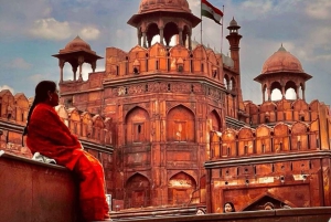 Delhi: 2-godzinne show światła i dźwięku w Czerwonym Forcie z prywatnym przewodnikiem