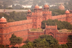Delhi: Red Fort & Museum Guided Tour with Entry Ticket