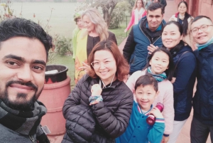 Delhi: Røde fortet – inngangsbillett uten kø og guidet tur