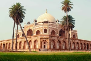 Nuova Delhi: tour guidato del Forte Rosso con biglietto d'ingresso incluso