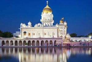 Spirituele locaties en tempels in Oud-Delhi: privétocht van 6 uur