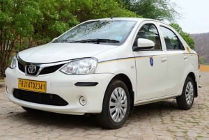 Delhi Rishikesh Haridwar Delhi (3 dagars resa)