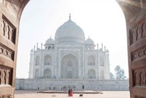 Delhi: 2-dagers tur til Agra og Jaipur med Elephant SOS og 5-stjerners hotell
