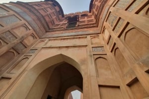 Delhi: 2-dagers tur til Agra og Jaipur med Elephant SOS og 5-stjerners hotell