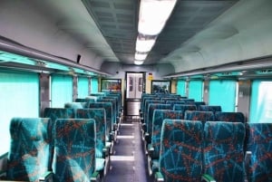 Delhi: Taj Mahal samma dag med Elephant SOS med snabbtåg