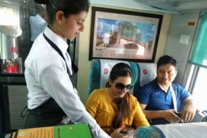 Delhi: Taj Mahal samma dag med Elephant SOS med snabbtåg