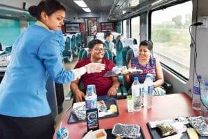 Delhi: Taj Mahal samma dag med Elephant SOS med snabbtåg