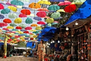 Delhi: Shopping and Street Food Tour with Female Guide & Car