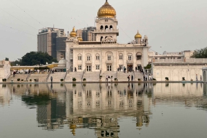 Delhi: Andlig tempeltur med guide och bil