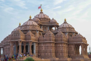 Delhi: Andlig tempeltur med guide och bil