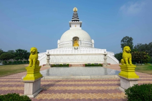 Delhi: Andlig tempeltur med guide och bil