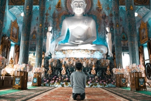 Delhi: Andlig tempeltur med guide och bil