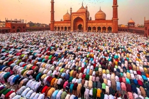 Delhi: Andlig tempeltur med guide och bil