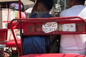 Delhi: hengellinen retki yksityinen opas ja lounas