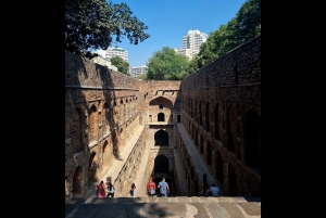 Delhi Street Art Tour: Tutustu seinämaalauksiin ja vieraile Stepwellissä.