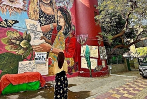 Delhi Street Art Tour : Explorez les peintures murales et visitez un puits d'escalier