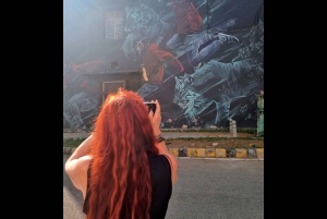 Delhi Street Art Tour : Explorez les peintures murales et visitez un puits d'escalier