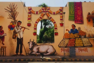 Tour de arte de rua em Délhi