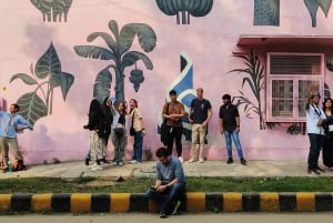 Delhi Street Art Tour