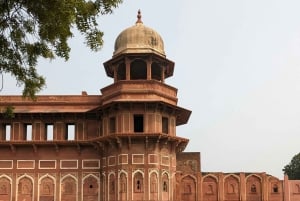 Delhi: Taj Mahal, Agra Fort og Baby Taj – tur med 5-stjernet frokost