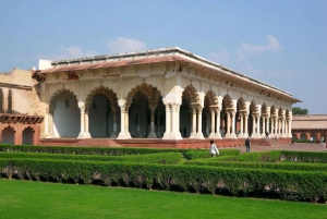 Delhi: Taj Mahal og Agra Fort solopgangstur med transport