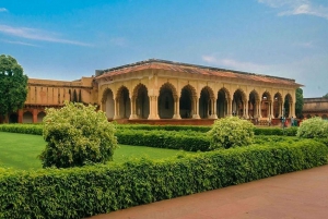 Delhi: Taj Mahal og Agra Fort solopgangstur med transport