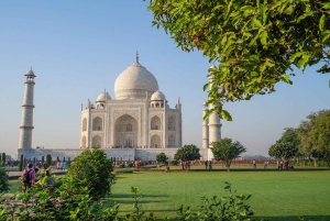 Delhi: Taj Mahal og Agra Fort solopgangstur med transport