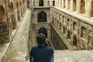 Depuis Delhi : excursion d'une journée au Taj Mahal et au fort d'Agra en train rapide