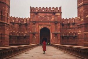 Fra Delhi: Taj Mahal og Agra Fort Dagstur med hurtigtog