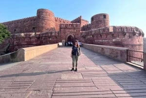 Delhi: Taj Mahal and Agra Skip The Line Private Day Tour