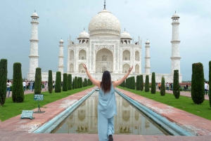 Delhi: Tour per auto van Taj Mahal, olifant en berenreddingscentrum