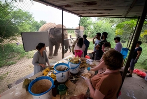 Delhi: Tour per auto van Taj Mahal, olifant en berenreddingscentrum