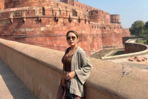 Delhi : Taj Mahal Sunrise & Elephant Conservation - All Paid