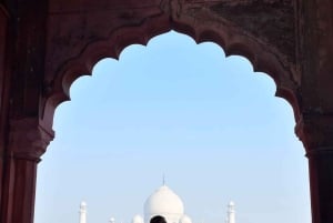 Delhi : Taj Mahal Sunrise & Elephant Conservation - All Paid