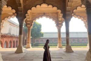 Delhi : Taj Mahal Sunrise & Elephant Conservation - All Paid