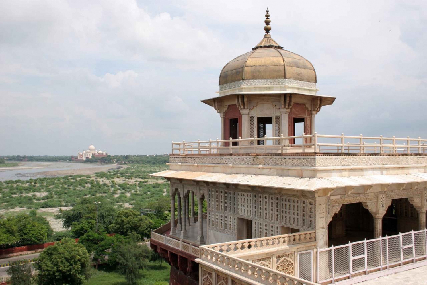 Delhi: Taj Mahal soloppgangstur med bevaring av elefanter i naturen