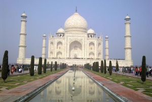 Delhi: Taj Mahal soloppgangstur med bevaring av elefanter i naturen