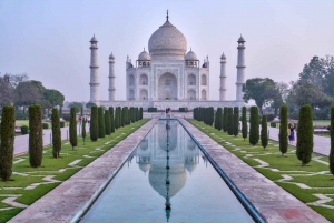 Delhi : Visite du Taj Mahal au lever du soleil, préservation de la faune et de la flore, conservation des éléphants