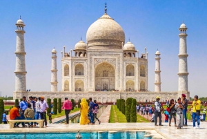 Delhi: Taj Mahal Sunrise Tour djurliv Elefantskydd