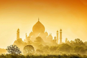 Delhi: Taj Mahal Zonsopgang Tour wildlife Elephant Conservation