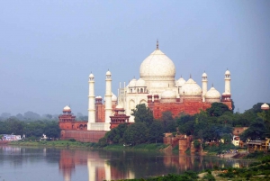 Delhi: Taj Mahal Sunrise Tour - ochrona słoni przed dziką przyrodą