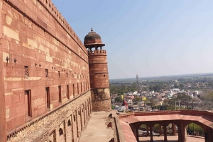 Delhi : Visite du Taj Mahal au lever du soleil, préservation de la faune et de la flore, conservation des éléphants